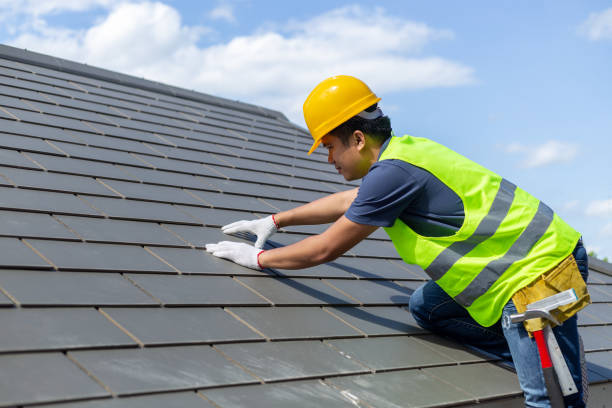 Best Roof Moss and Algae Removal  in Morenci, MI