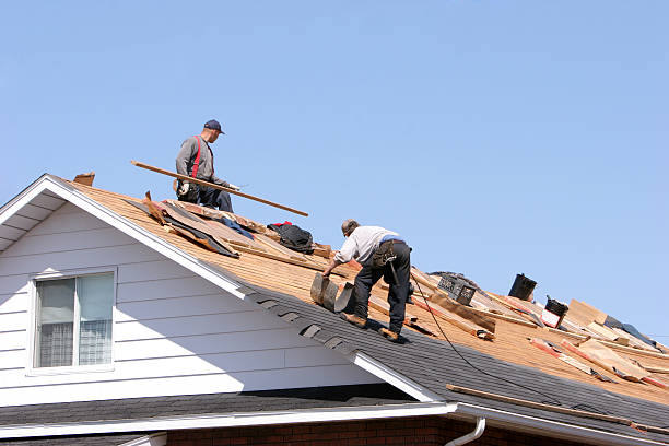 Best Hot Roofs  in Morenci, MI